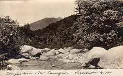Sawyer River Postcard, July 1912