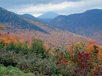 Bear Notch Area