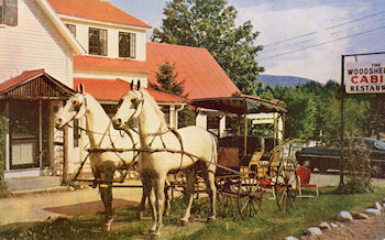 Woodshed Wooden Horses