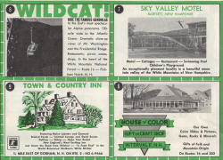 Ad page 60's