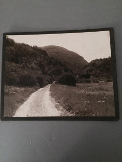 Wagon track near Elephant Head 1900