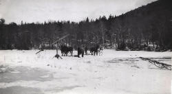 Ice cutting on saco pond