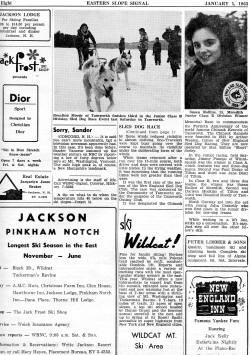 sled dog tamworth page 2