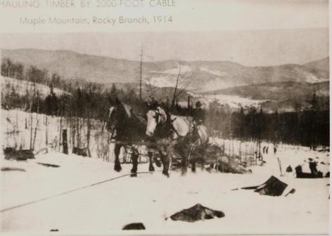Logging Rocky Branch 1914
