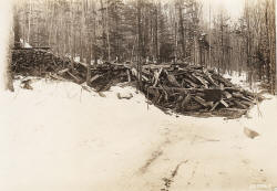 Cordwood chute