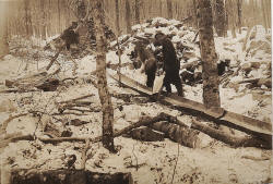 cordwood chute