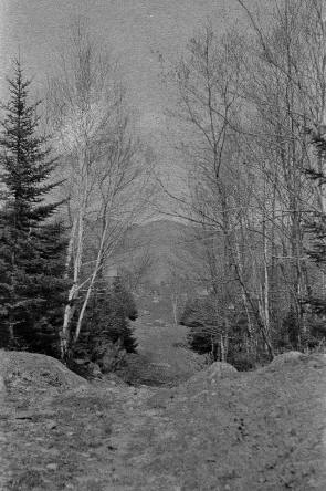 Whiteface Road. Livermore, NH